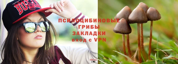 jwh Новозыбков
