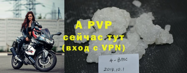 jwh Новозыбков