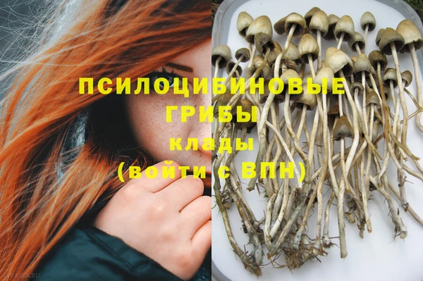 шишки Алексин