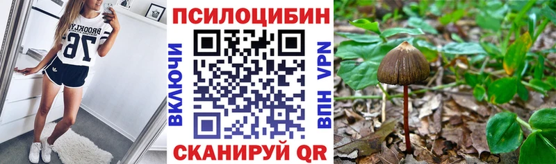 Галлюциногенные грибы MAGIC MUSHROOMS  наркота  Рыльск 